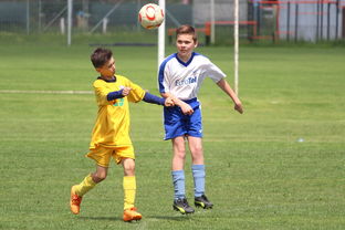 米兰体育milan-美国乒乓队未来目标：如何提高整体竞技水平，冲击世界大赛，美国乒乓球运动  第2张